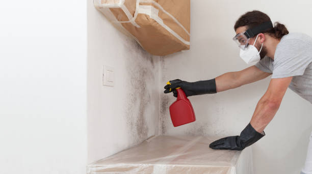 Professional Basement Mold Removal technician working in Streamwood, IL